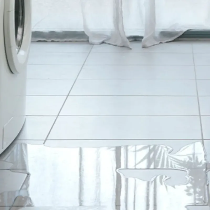 Appliance Leak Cleanup in Oakwood, IL