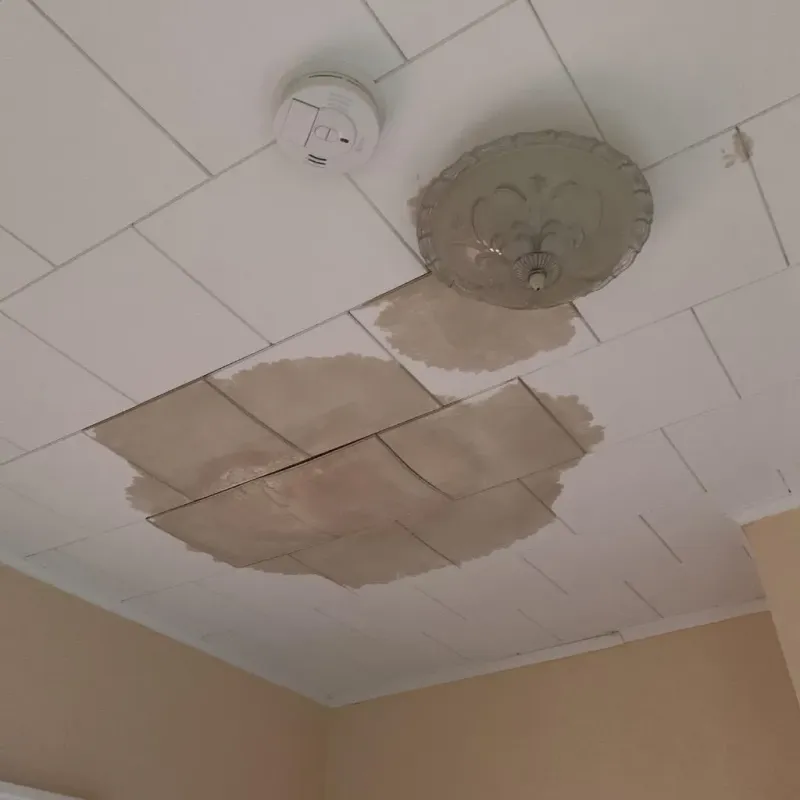 Ceiling Water Damage Repair in Oakwood, IL
