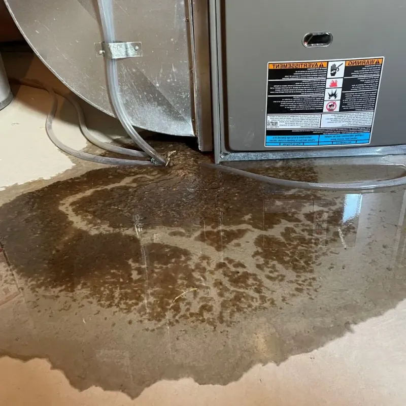 Pipe Burst and Leak Restoration in Oakwood, IL