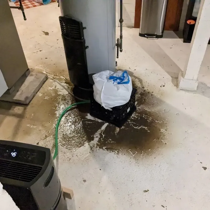 Sewage Backup Cleanup Service in Oakwood, IL